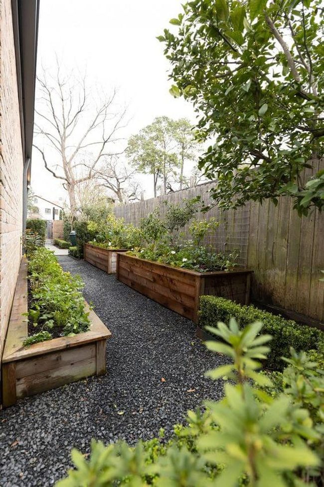 Garden Corner With Glowing Lights