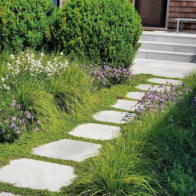 Curved Paths Through Blooming Green