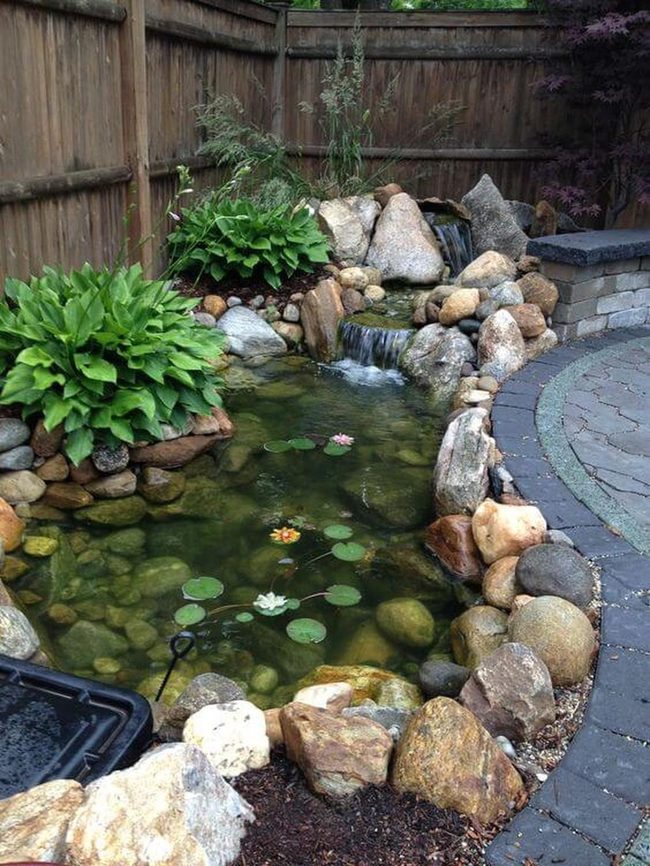 Glowing Lily Pond Oasis