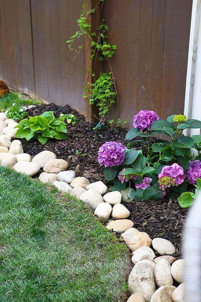 Purple Hydrangeas With River Stone Garden