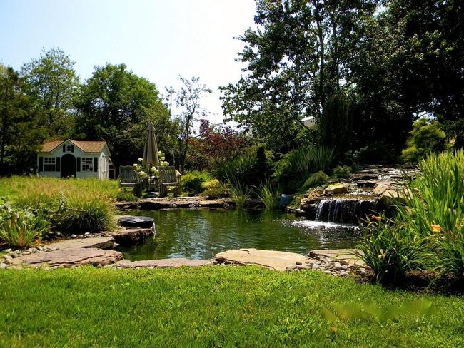 Shimmering Water Garden Oasis