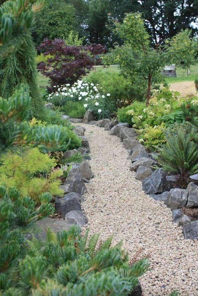 Winding Stone Path Through Ferns