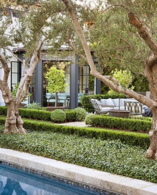 Olive Shade Stone Courtyard