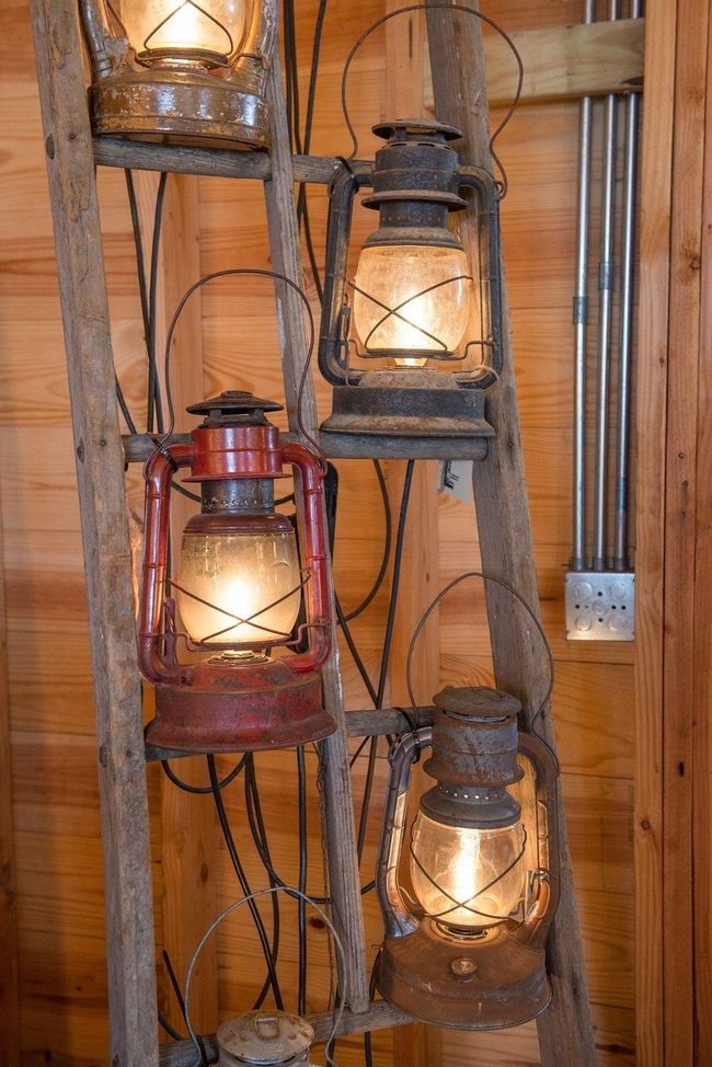 Lanterns Suspended Through Tree Canopy
