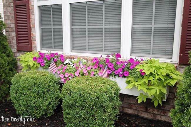 Cascading Flowers Frame Your Window