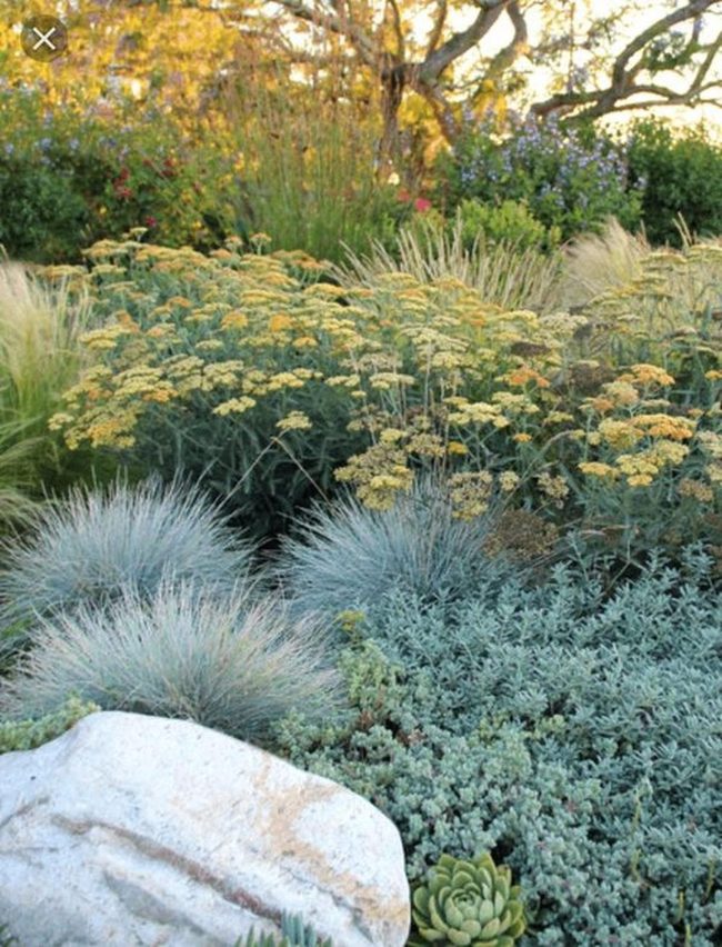 Gravel Mulch With Drought Native Plants