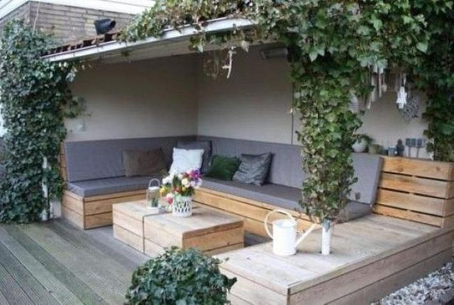 Green Vines Wooden Bench Retreat