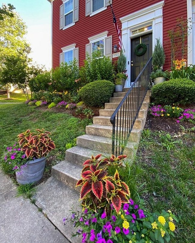 Green Shrubs With Seasonal Blooms