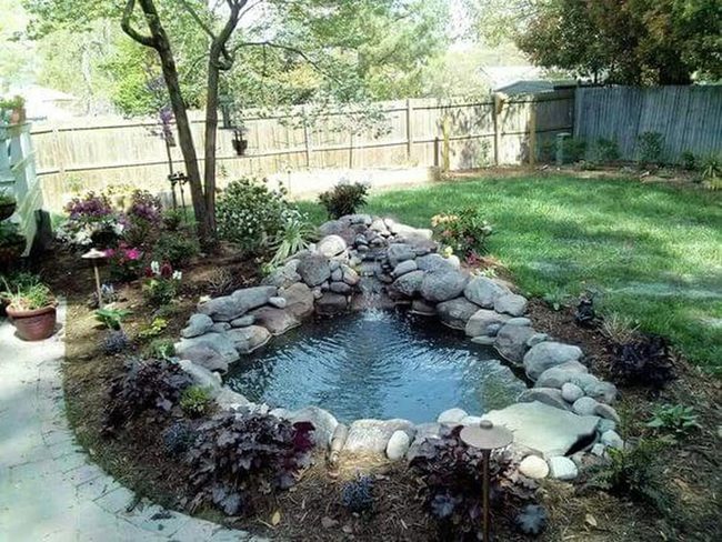 Stone Pond Garden Sanctuary
