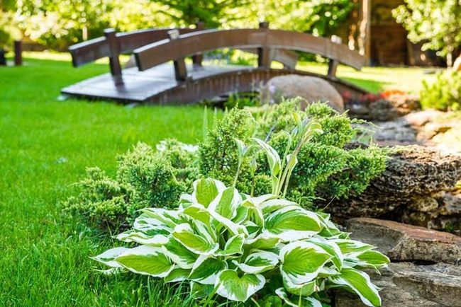 Succulents Line Winding Stone Path