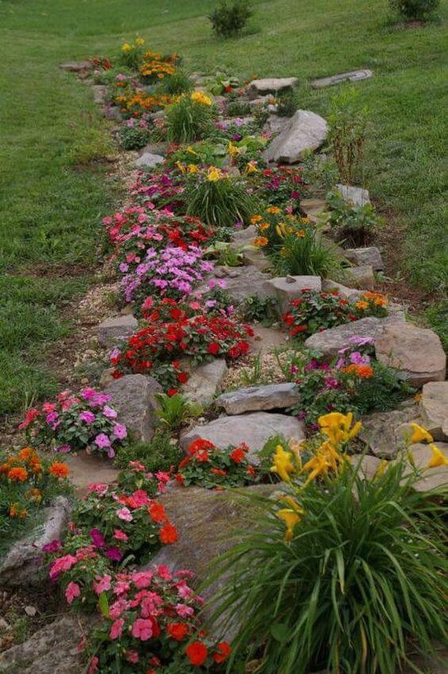 Colorful Blooms Line Stone Path