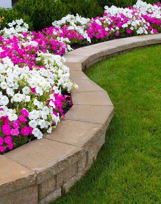 Stone-Edged Petunia Garden Display