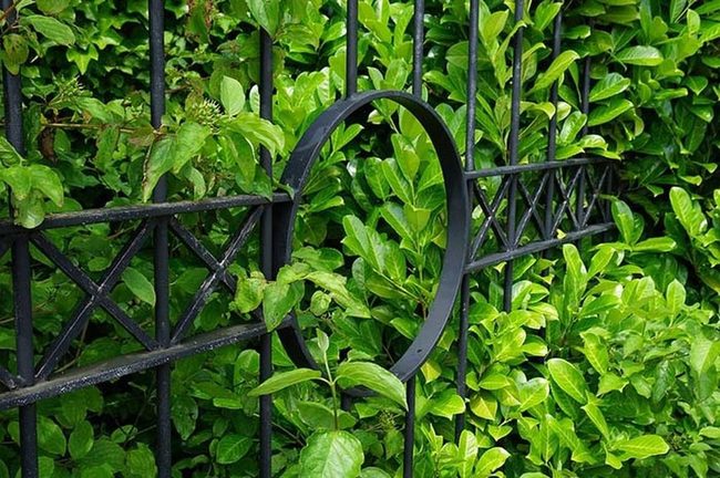 Black Iron And Emerald Green Boundaries