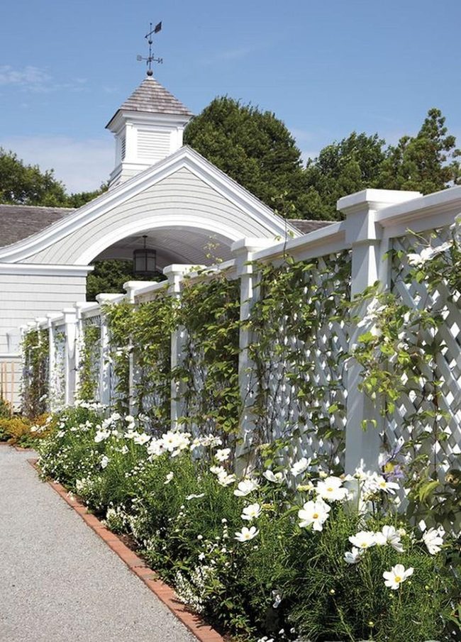 White Archway With Climbing Flowers