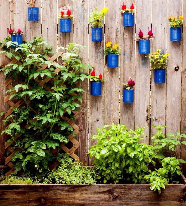 Colorful Tin Can Planters