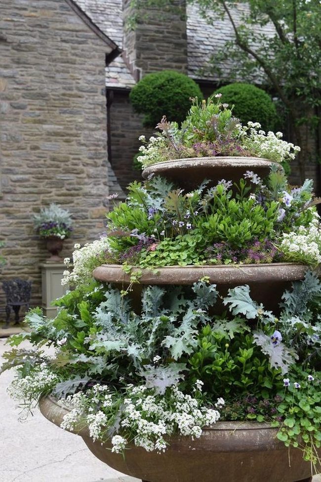 Stone Planters Overflow With White Blooms