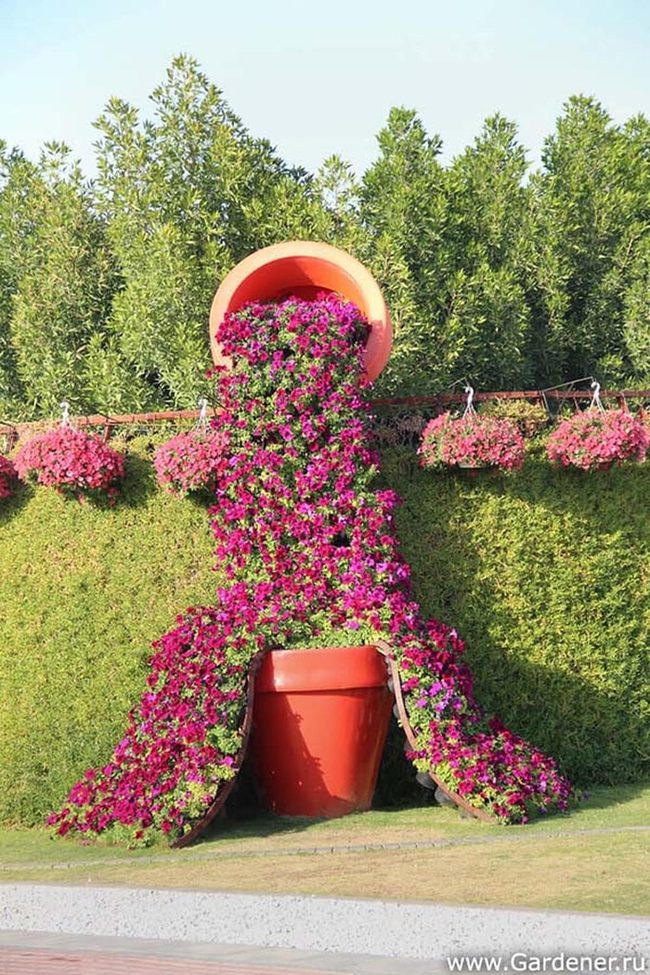 Overflowing Pots Spilling Blooms