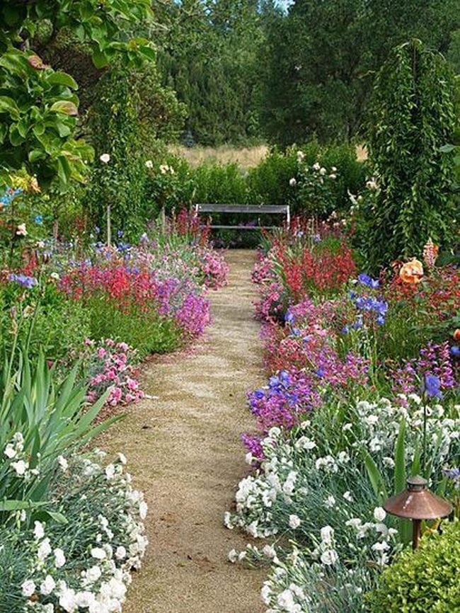 Blooming Pink Pathways With Quiet Benches
