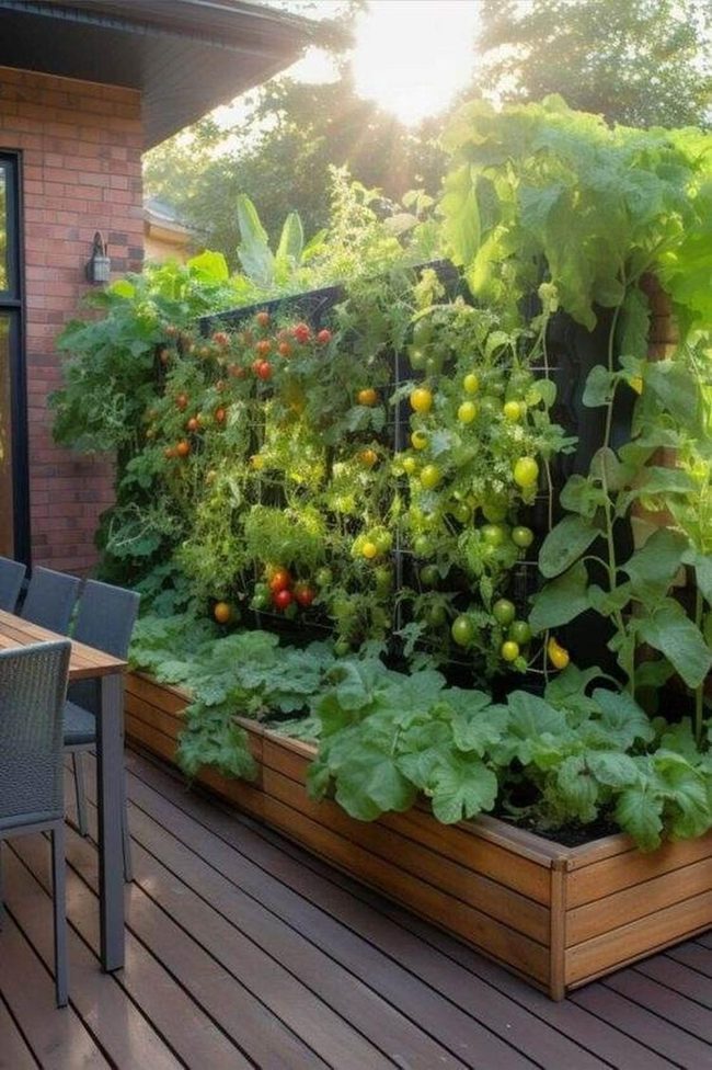 Living Wall Kitchen Garden