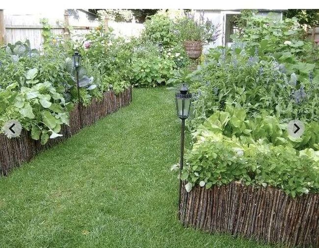 Natural Twig Garden Beds