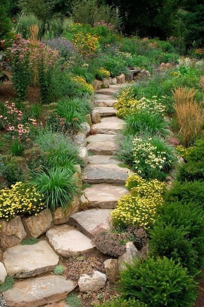Stone Pathways Through Layered Garden Growth