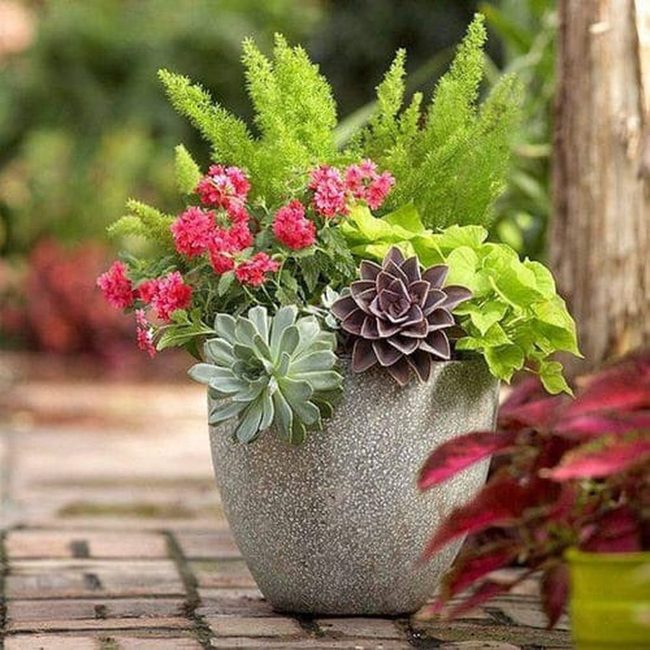 Vertical Greenery Spilling Over Edges