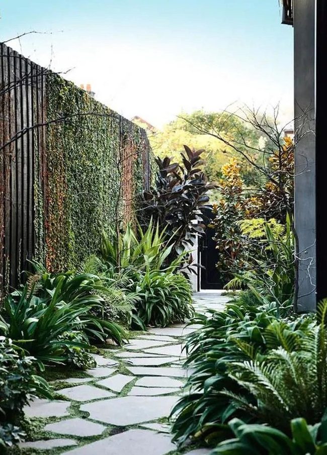 Stone Path Through Layered Greens