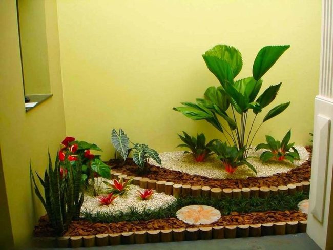 Red Anthurium Indoor Garden