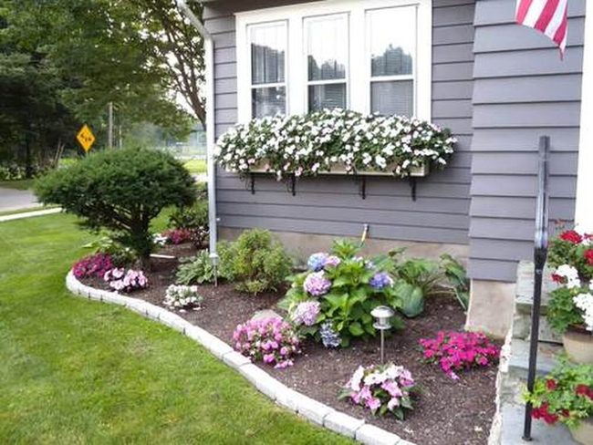Cascading Flowers Frame Your Home