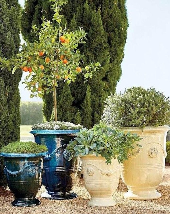 Glossy Pots, Layered Garden Color
