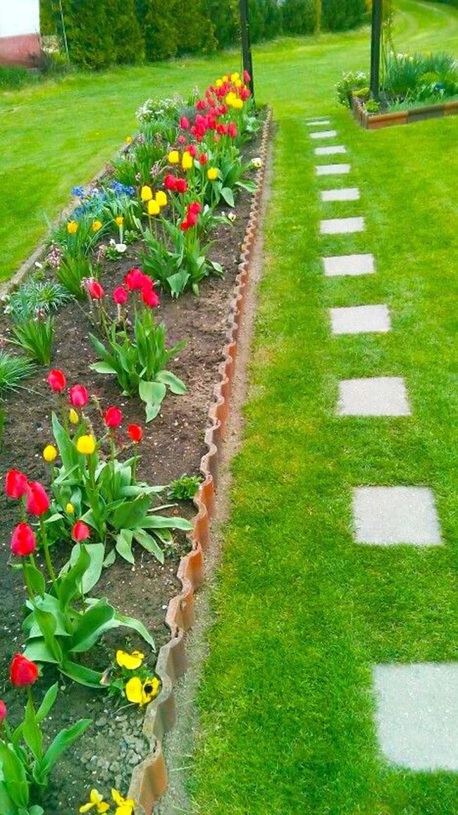 Red And Yellow Tulip Garden