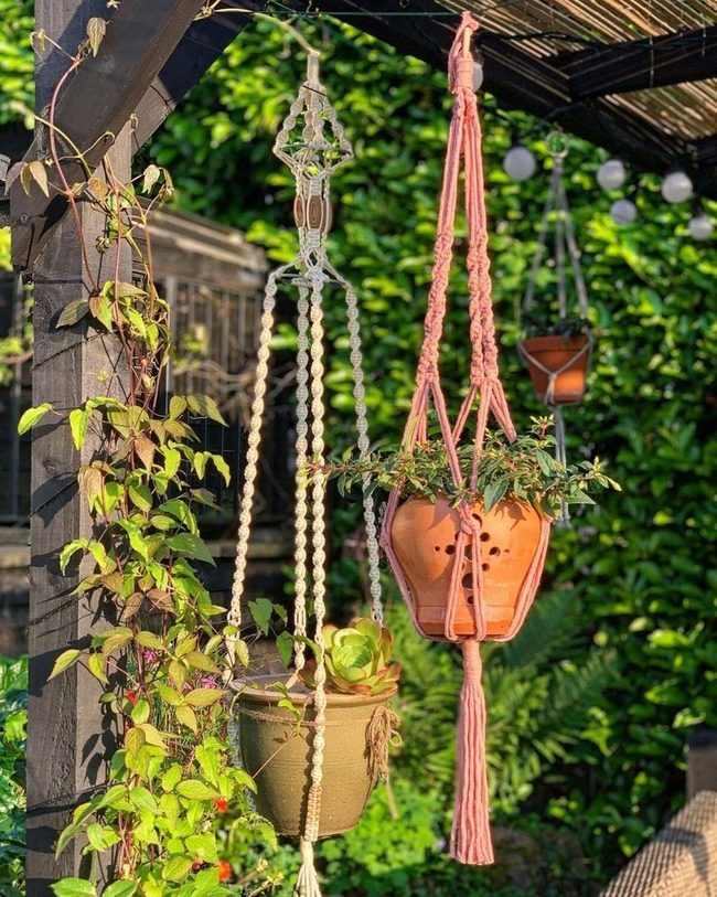 Hanging Plants And Woven Lights