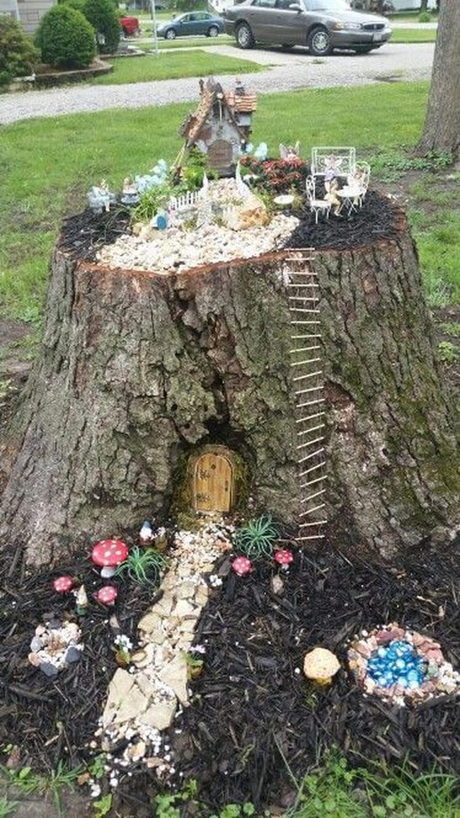 Miniature Garden On Tree Stump