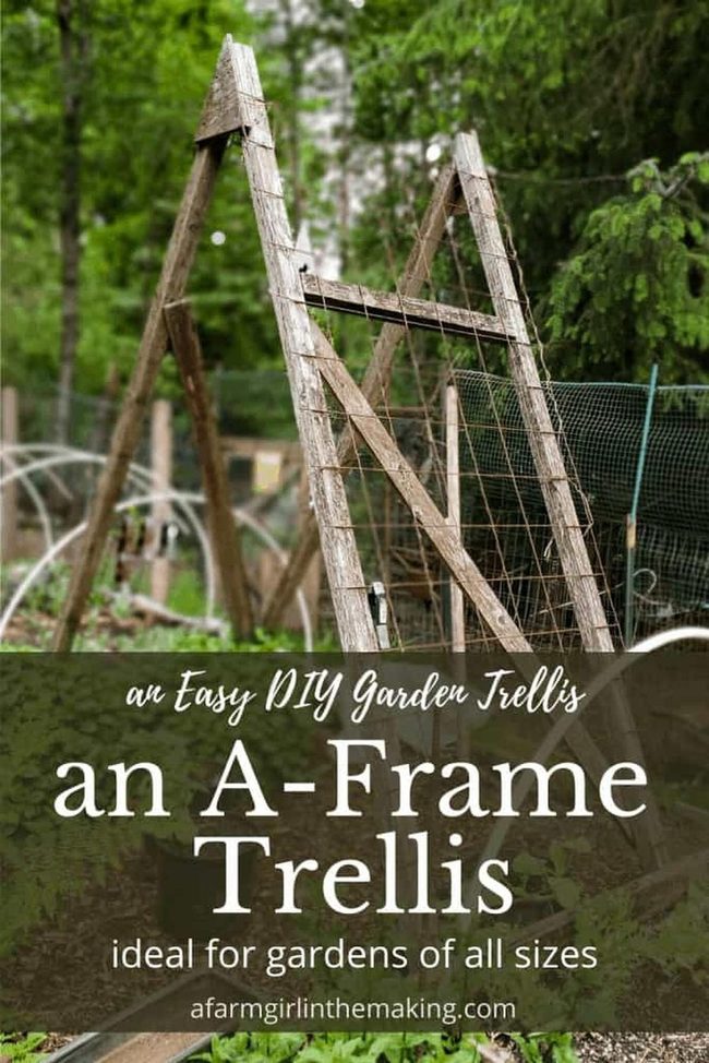 Vertical Watermelon Wooden Trellis
