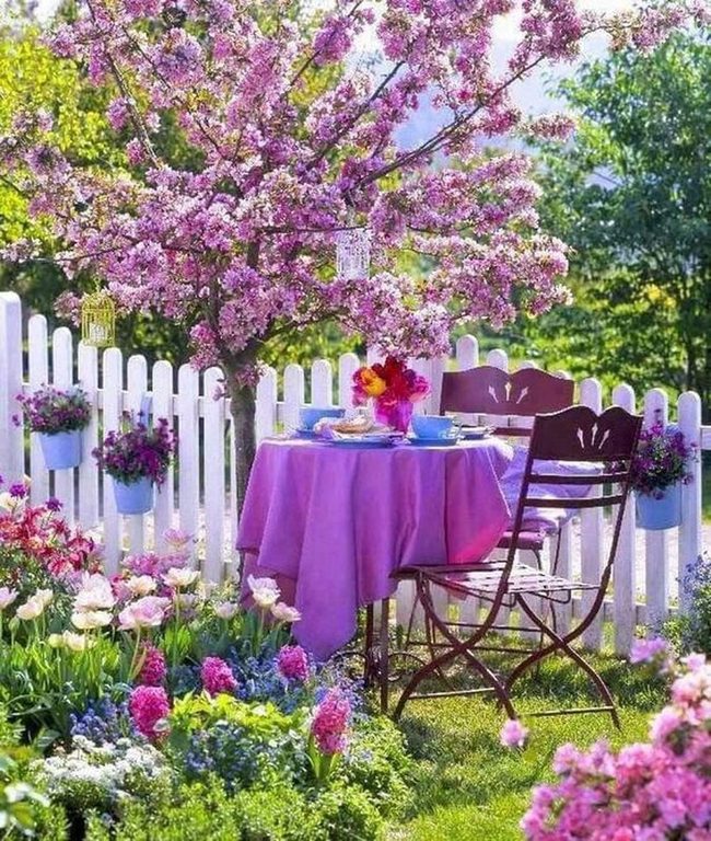 Pink Blossoms Over Purple Tea Table