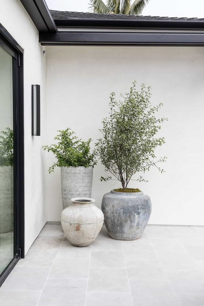 Empty Pots Create Winter Balance