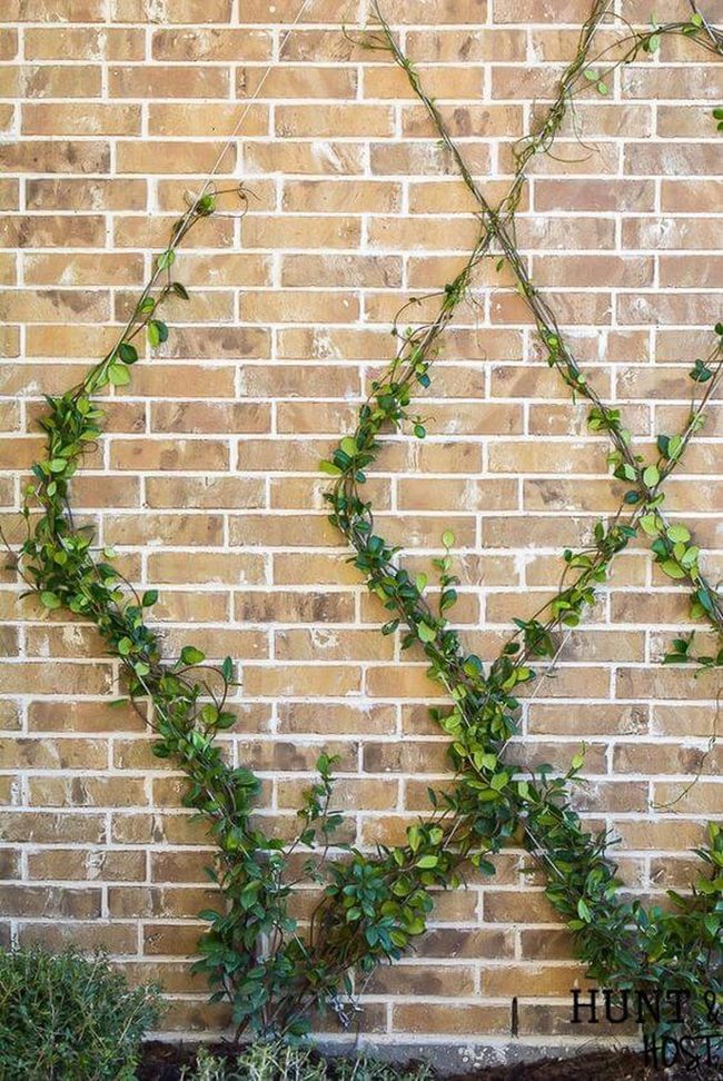 Cascading Wire Garden Wall