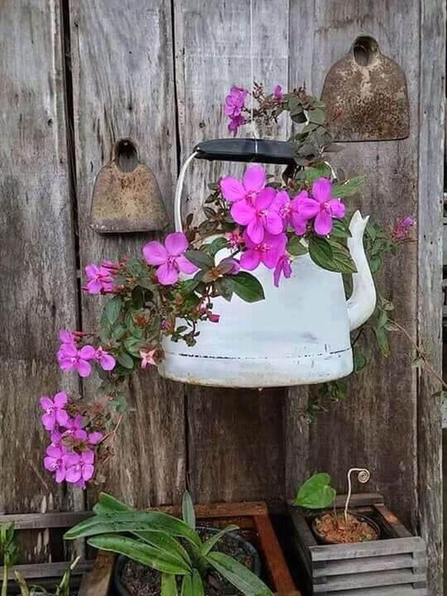 Vintage Kettle Hanging Flower Planter