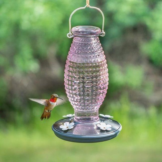 Purple Dotted Glass Hummingbird Feeder