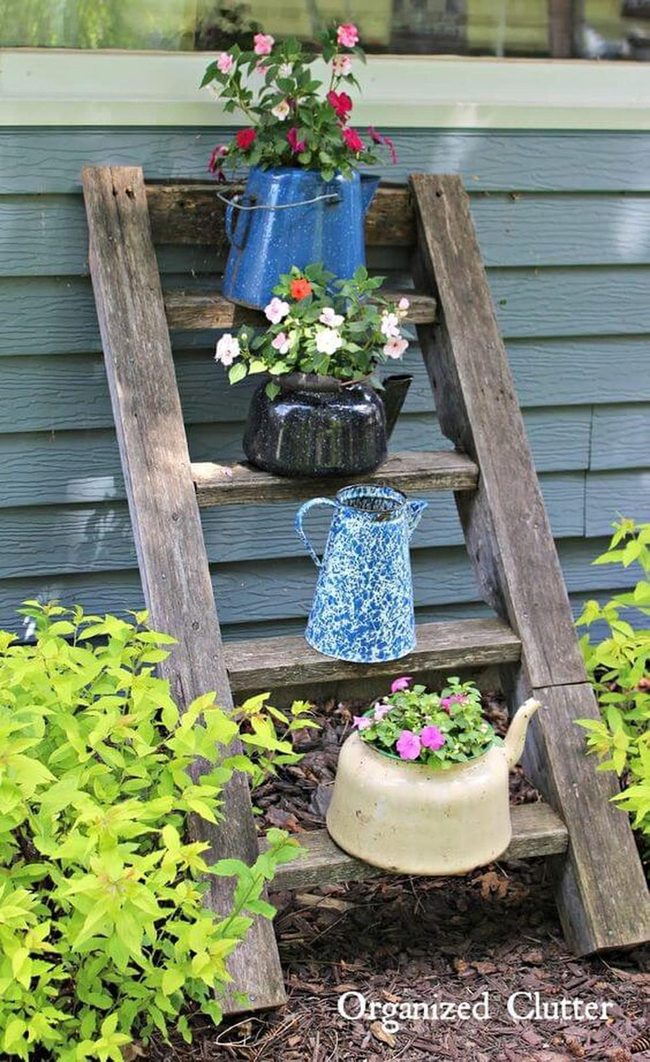 Weathered Ladder, Mismatched Vintage Containers
