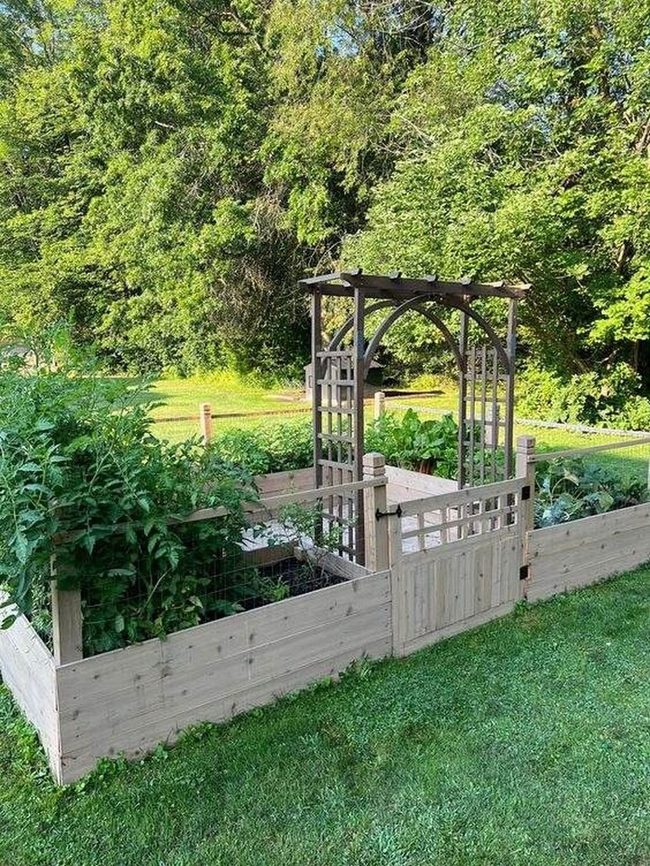 Wooden Raised Beds With Garden Archway
