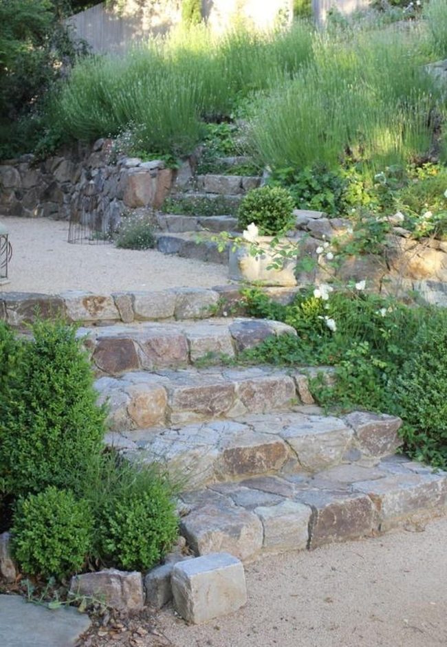 Stone Steps Through Green Foliage