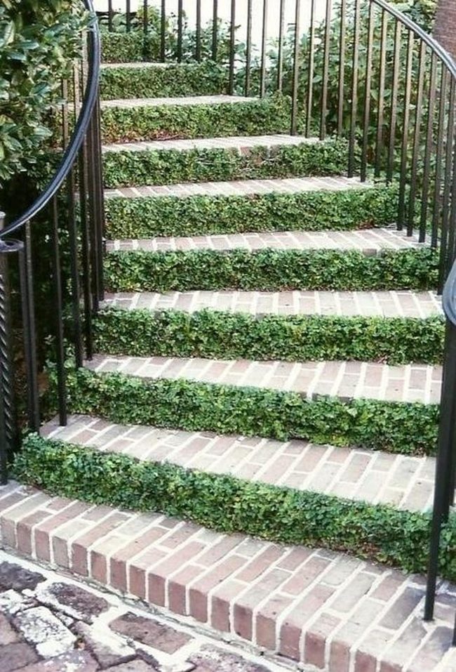 Brick Steps Through Living Green