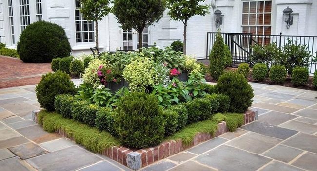 Pavement And Accent Blooms