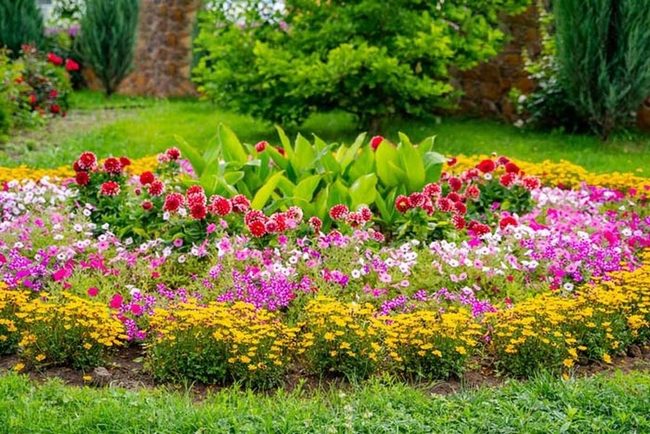 Tiered Plants Create Instant Yard Depth
