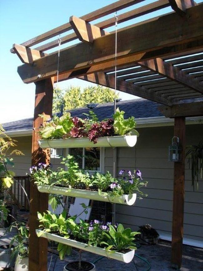 Wooden Pergola With Cascading Flowers