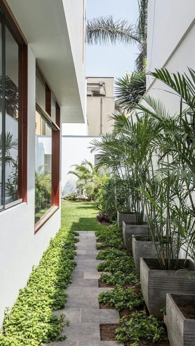 Green Corridor Garden Passage