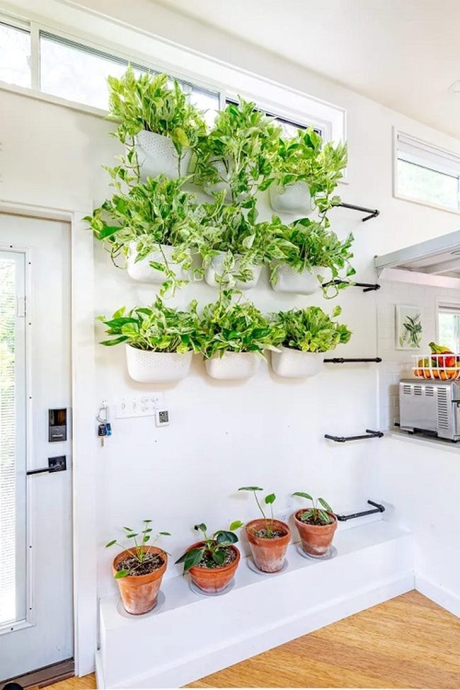 Cascading Green Wall Boxes