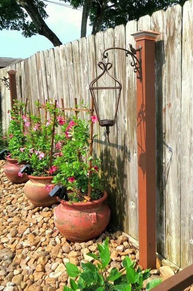 Terracotta Pots, Lush Flowering Garden