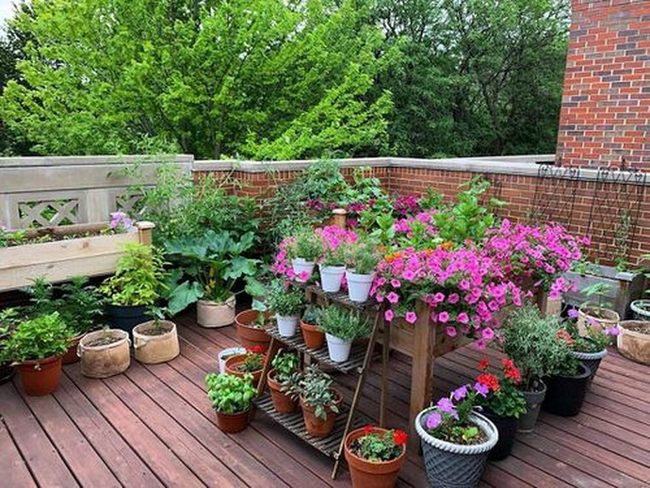 Stacked Vegetable Garden Skyward